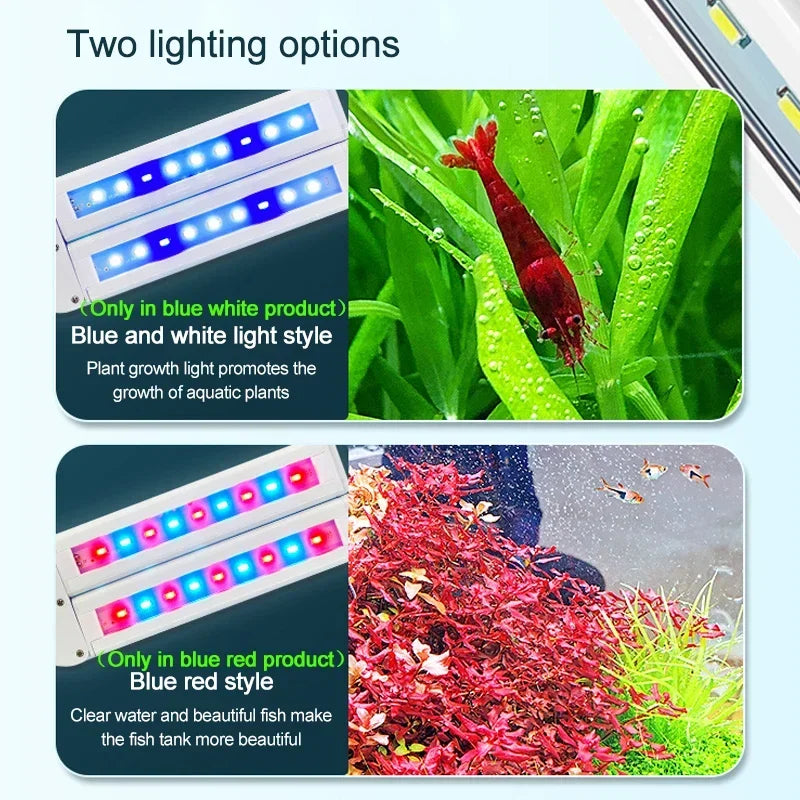 Lampe LED à pince pour aquarium, spectre complet