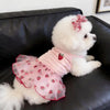 A white poodle wearing a pink strawberry princess dress with a floral bow sitting on a black couch.