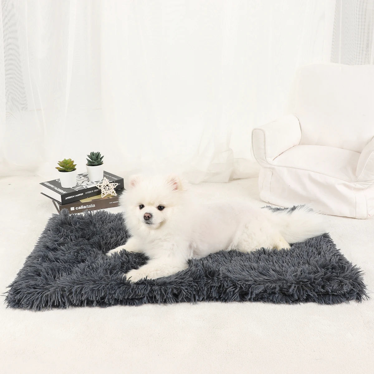 A fluffy white dog lies on a dark gray pet blanket in a bright, soft-lit room.