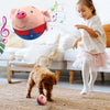 Jouet en peluche interactif pour chien qui rebondit