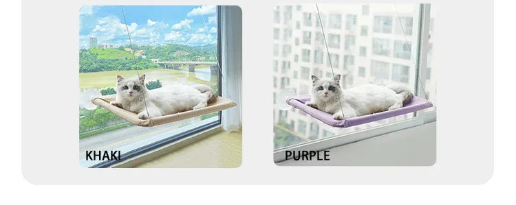 A fluffy cat is relaxing in a window hammock with a khaki or purple colored fabric.