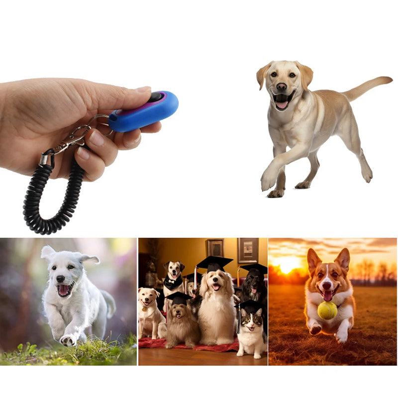 Détecteur d'entraînement pour animaux de compagnie portable avec porte-clés