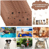 Ultra-Soft Quick-Dry Pet Bath Towel for Dogs and Cats