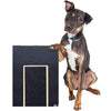 Wooden Dog Nail Scratch Board with Treat Box and Sandpaper Pad