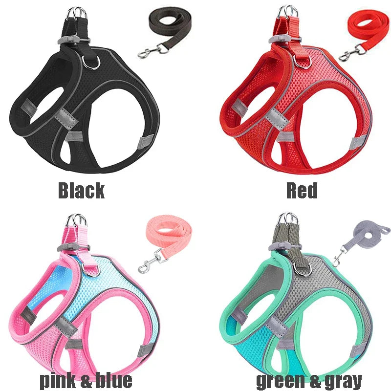 A set of reflective no-pull dog harnesses and matching leashes in black, red, pink and blue, and green and gray.