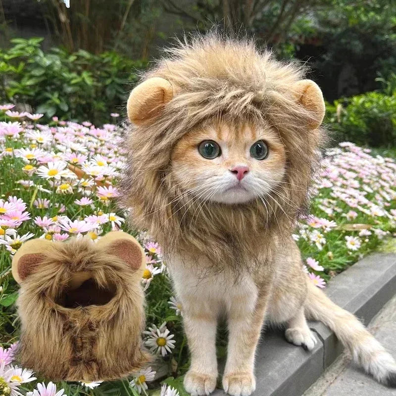 Sombrero de Melena de León para Mascotas