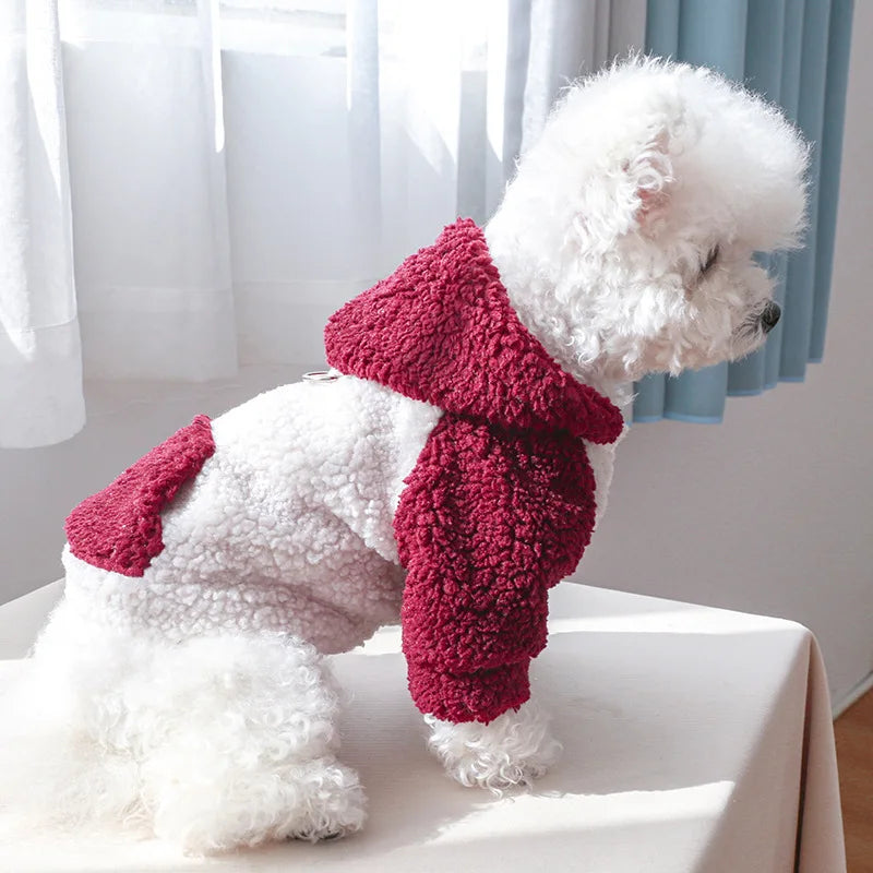 Suéter con Capucha de Lana Berber para Perro