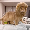 Sombrero de Melena de León para Mascotas
