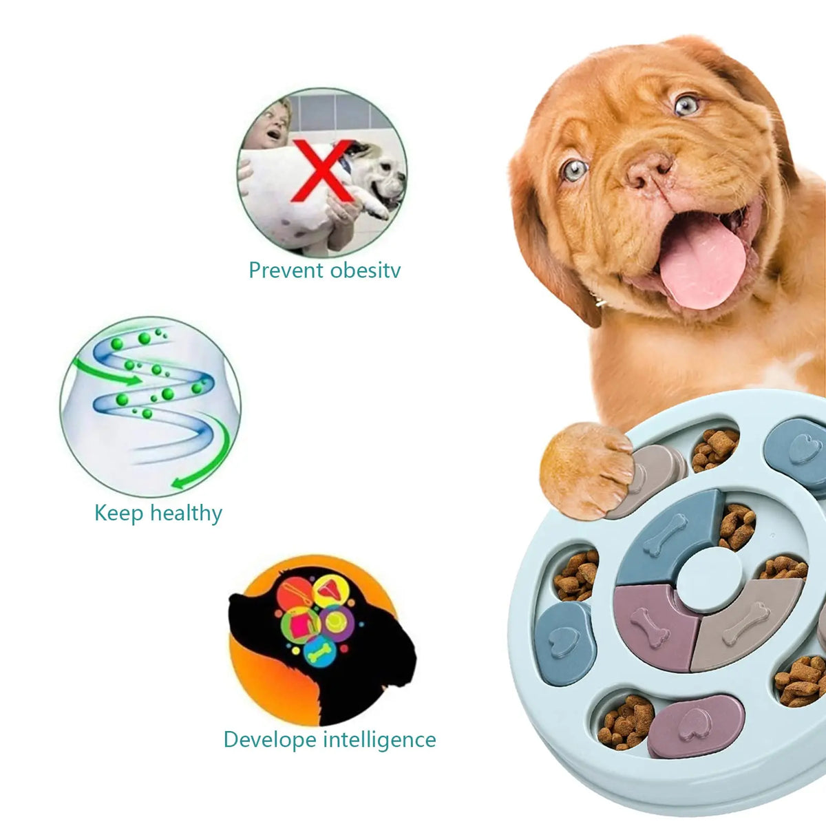 A brown dog is interacting with a light blue puzzle feeder toy designed to dispense treats and promote mental enrichment.