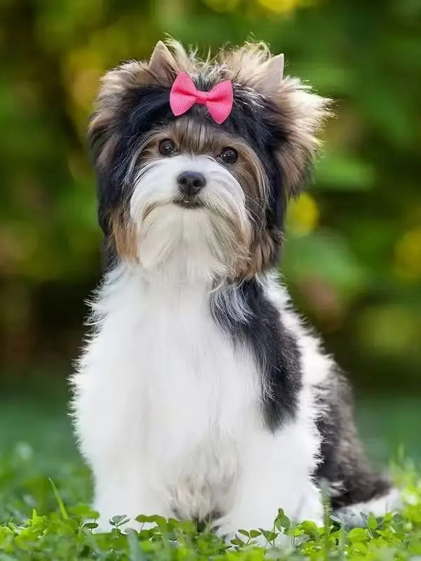 Handmade Dog Hair Bows with Rubber Bands - Colorful Wave & Flower Print Pet Grooming Accessories (50-Piece Set)