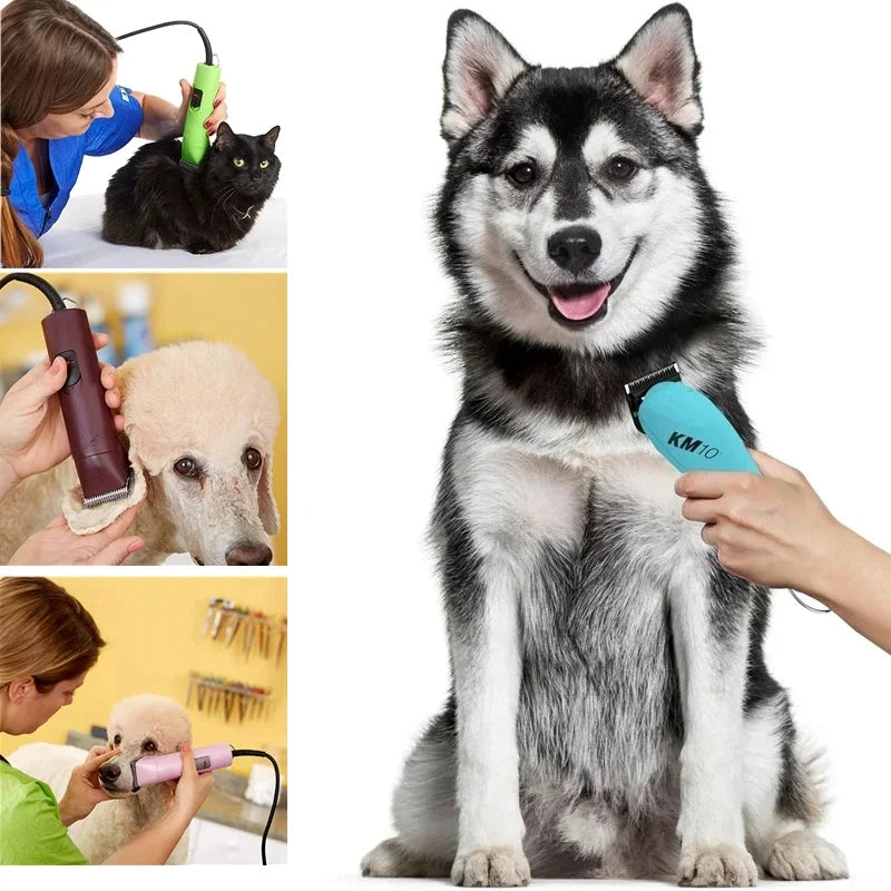 A fluffy husky dog sitting next to hands demonstrating a detachable stainless steel clipper blade for pet grooming.
