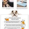 Disposable Absorbent Dog Diapers for Puppy Training