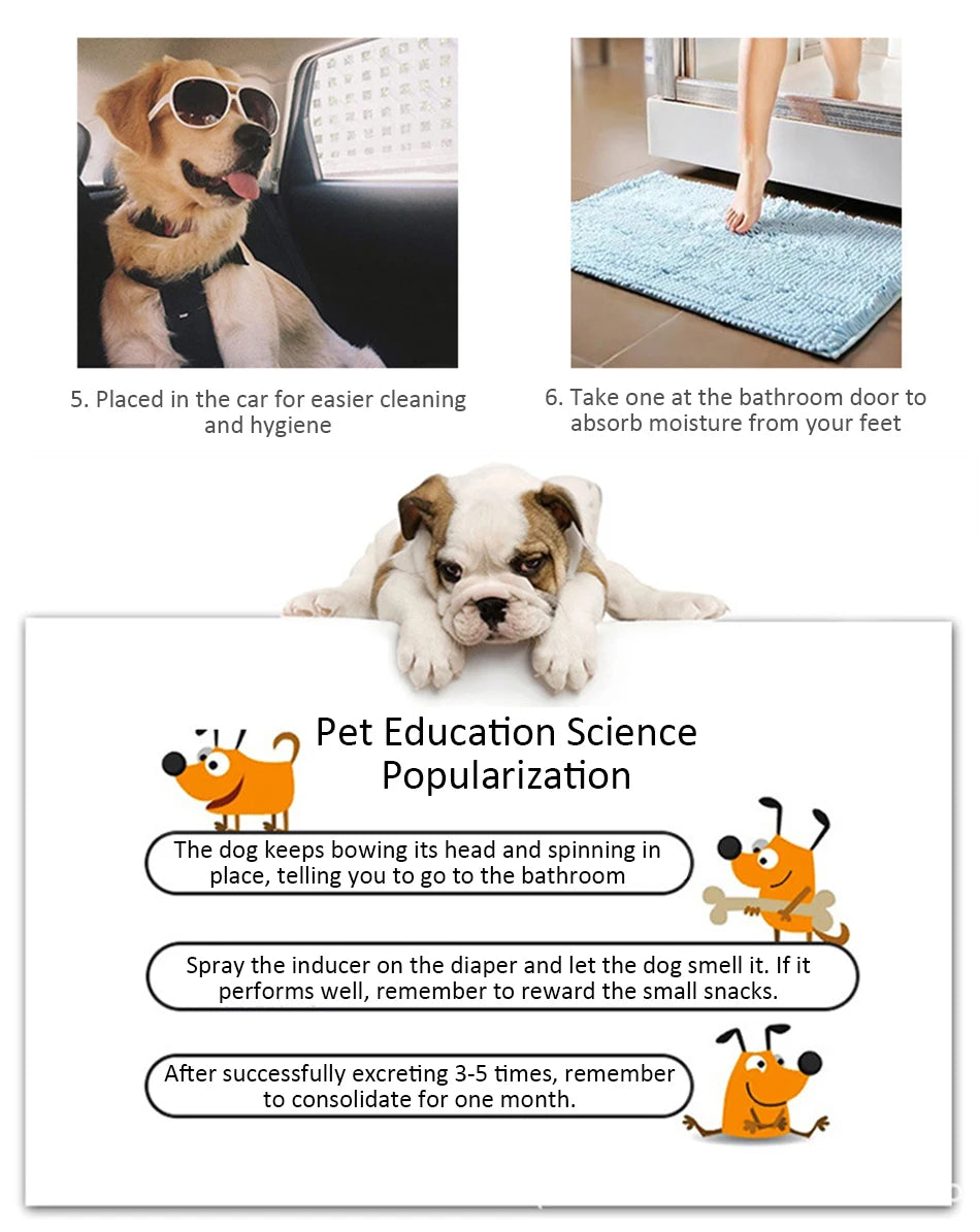 Disposable Absorbent Dog Diapers for Puppy Training