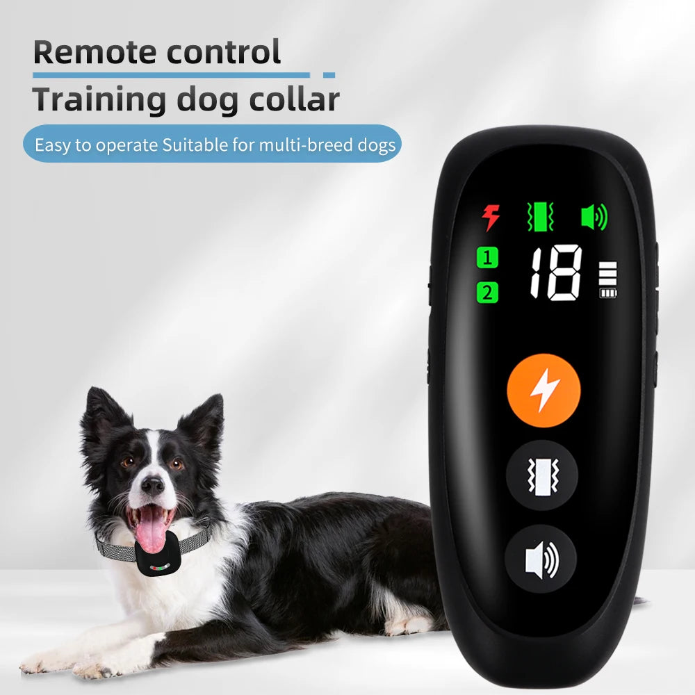Black remote control training dog collar with a dog lying down on a white surface