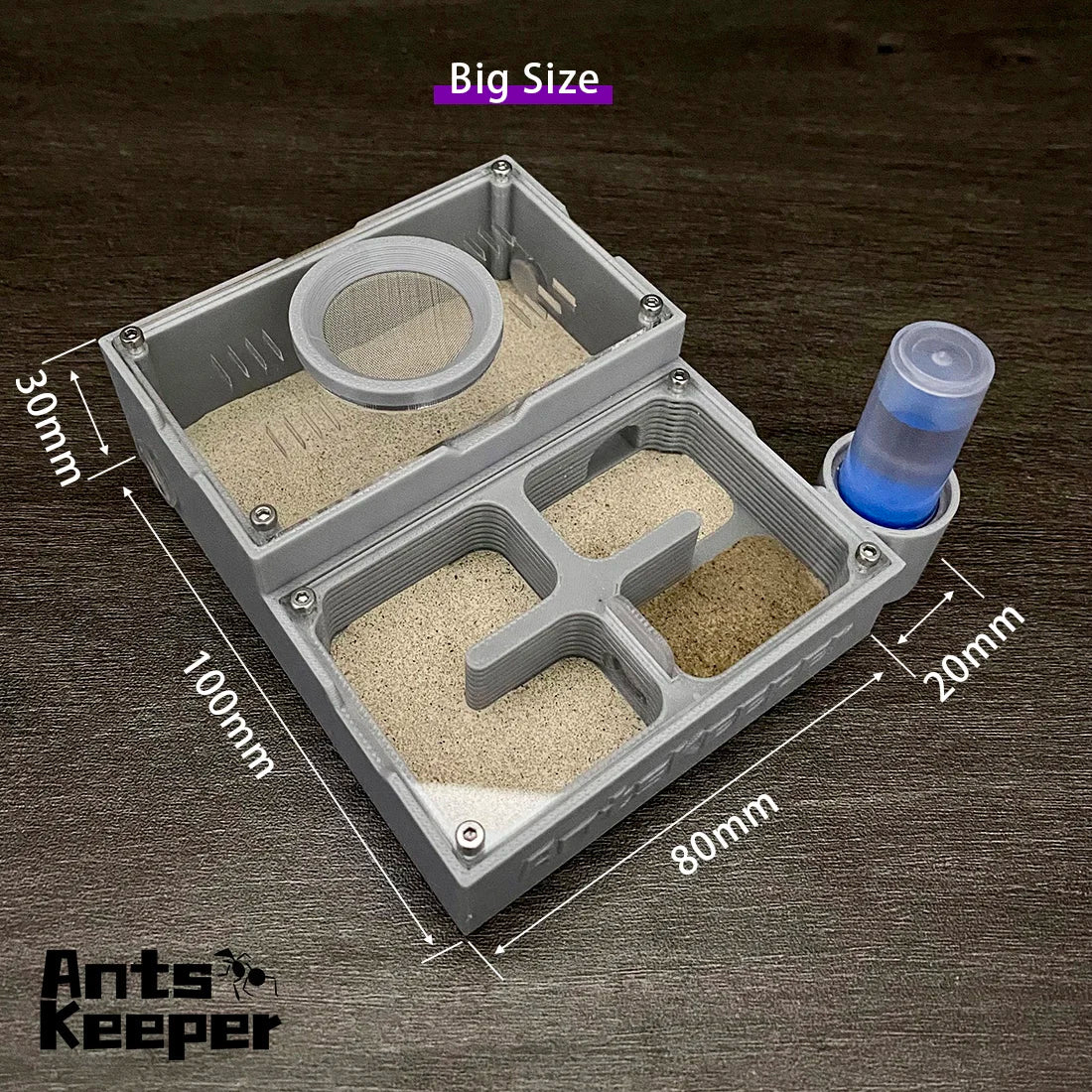 A rectangular plastic ant keeper with four chambers and a lid, showing an observation farm setup.