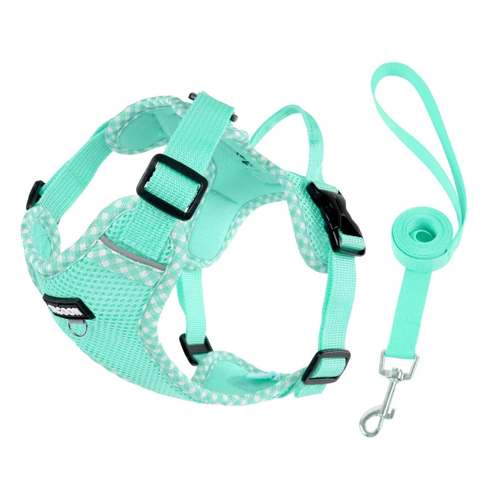 A bright turquoise mesh dog harness and leash set with black reflective trim.