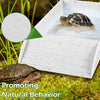 Reptile Food and Water Bowl with Anti-Slip Ramp