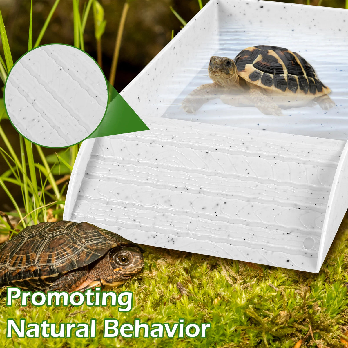 Reptile Food and Water Bowl with Anti-Slip Ramp
