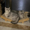 Lit Grattoir Détachable pour Chat