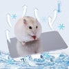 A fluffy white hamster is standing on a silver aluminum cooling pad with a thermometer nearby.