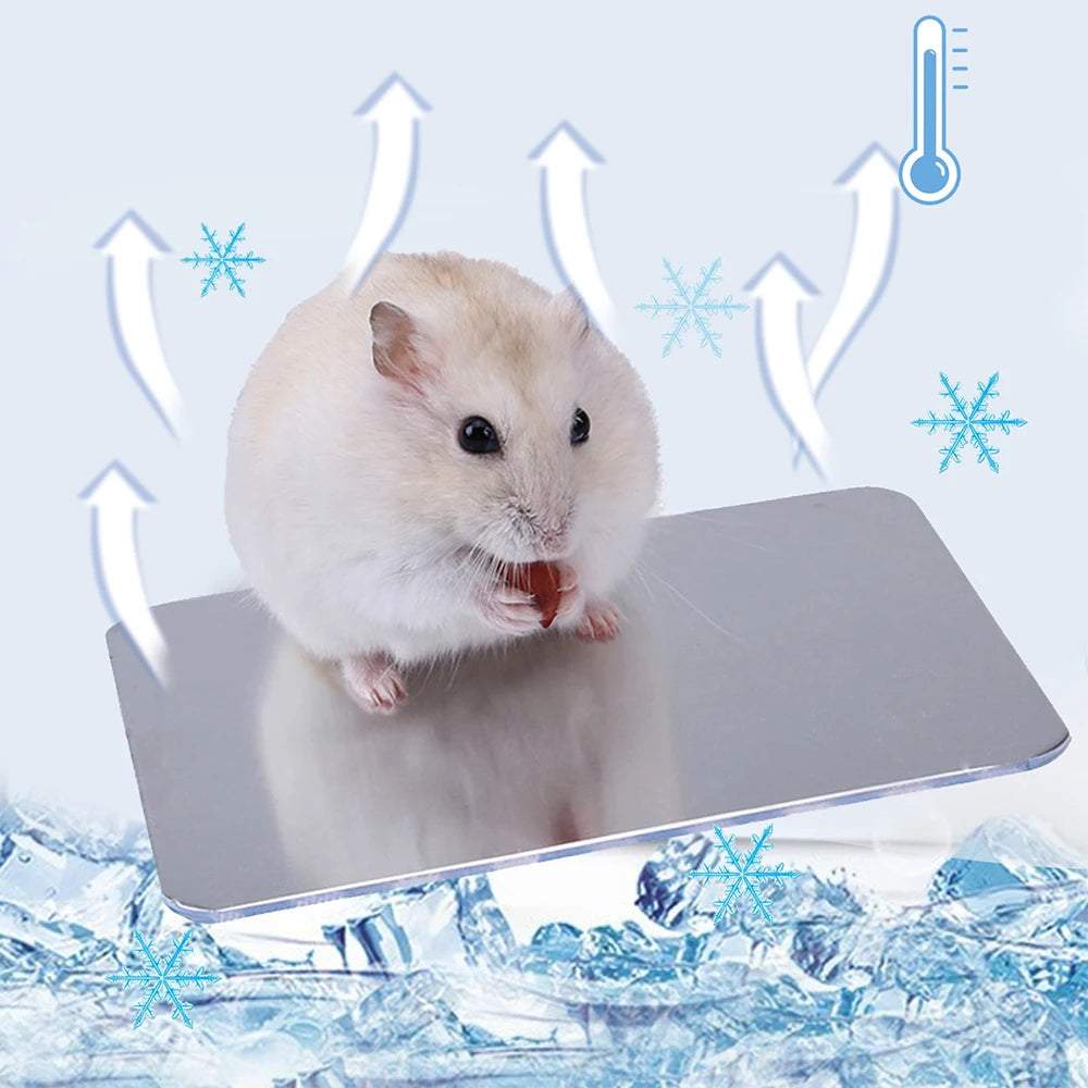 A fluffy white hamster is standing on a silver aluminum cooling pad with a thermometer nearby.