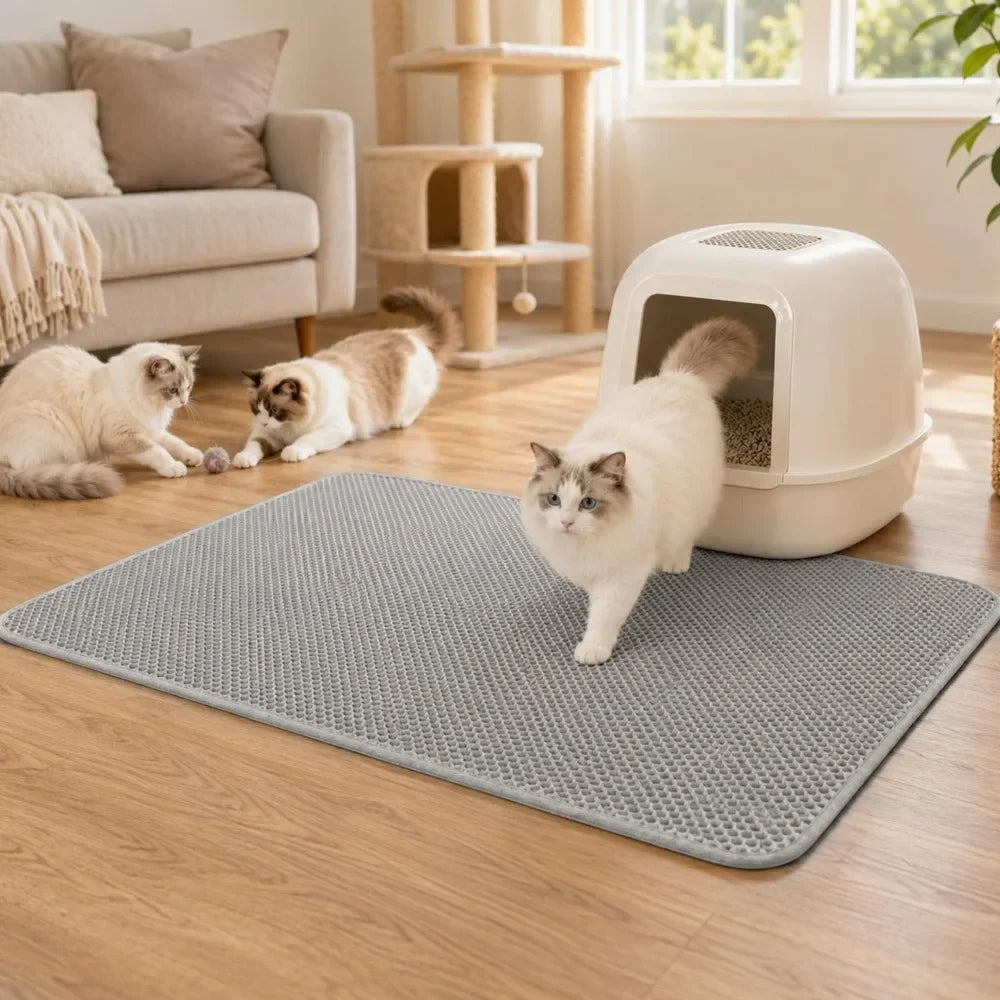A white cat is standing on a gray honeycomb litter mat indoors.
