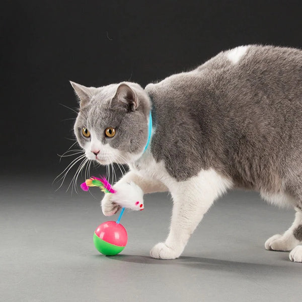 Ensemble de Jouets Interactifs pour Chats avec Plume et Souris en Peluche