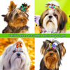 Eine Sammlung von Tierhaarbändern und Accessoires zur Dekoration von Hunden und Katzen.