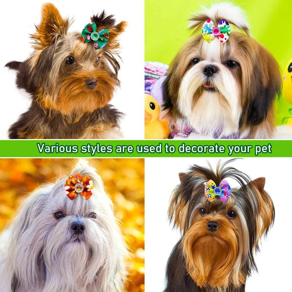 Eine Sammlung von Tierhaarbändern und Accessoires zur Dekoration von Hunden und Katzen.