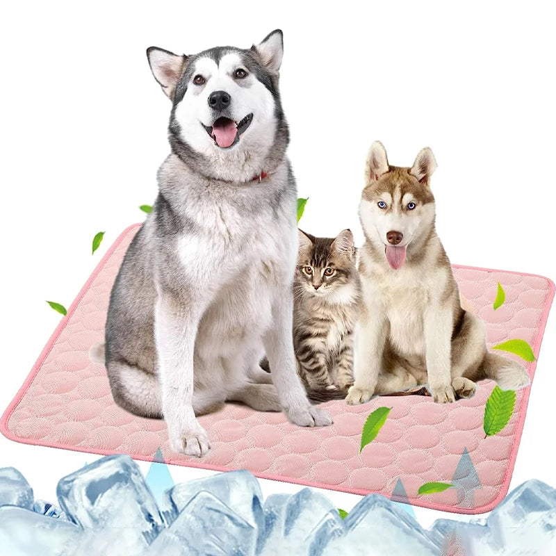 A fluffy dog and a cat are sitting on a pink ice silk cooling pet mat with ice cubes in the foreground.
