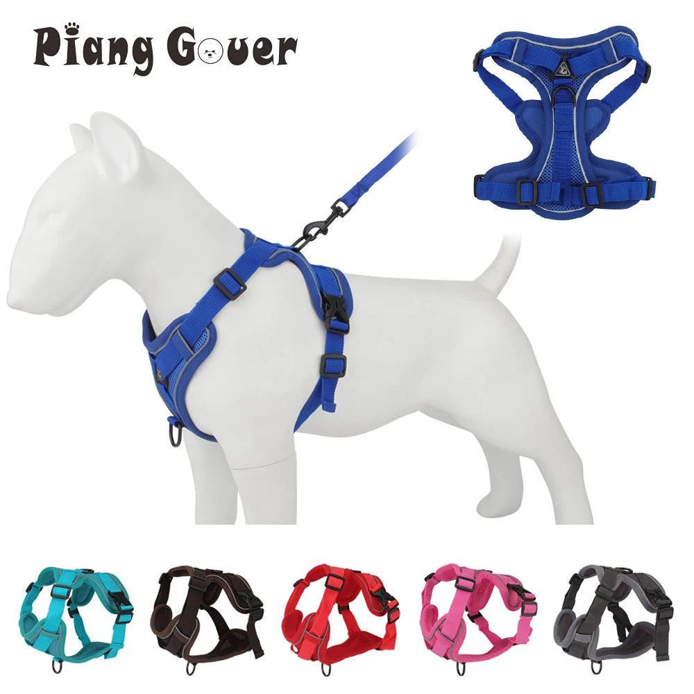 A set of reflective dog harnesses and leashes for small to medium dogs shown in various colors and styles.