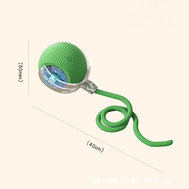 Cat Interactive Ball Toy for Kitten