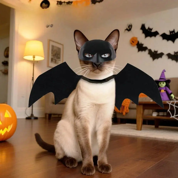 A domestic cat wearing a black bat mask and wings sitting on the floor in a room decorated for Halloween.