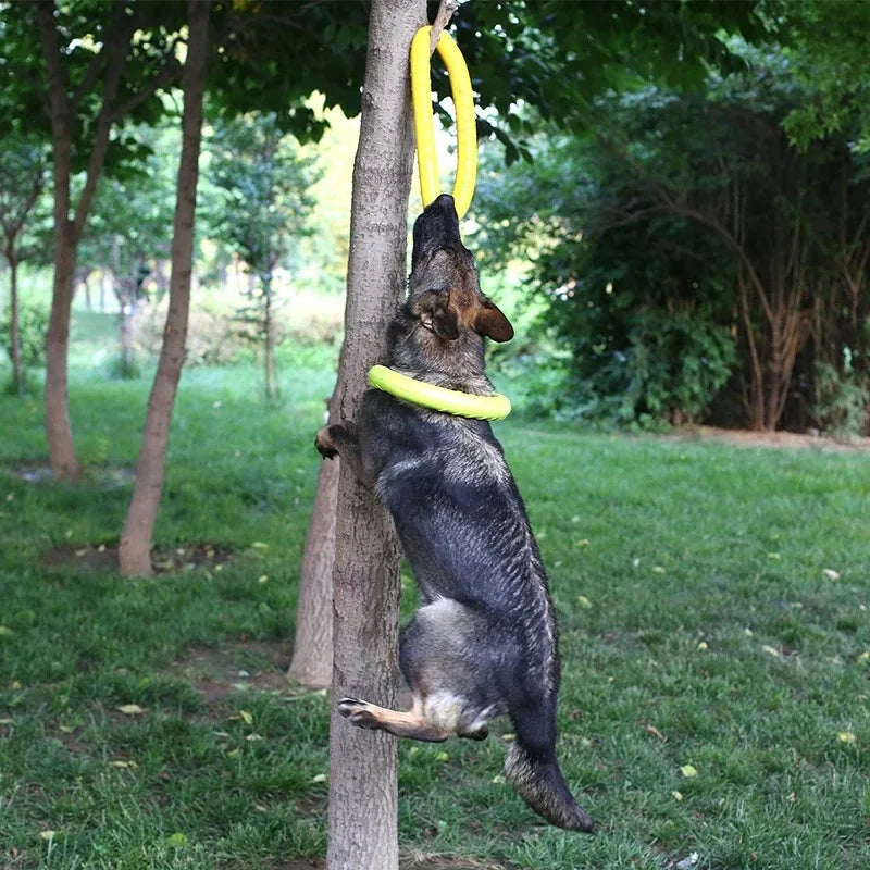 Anneau d'entraînement et disque volant en caoutchouc durable pour chien