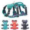 A set of reflective padded dog harnesses in teal, gray, and orange colors shown from the back.