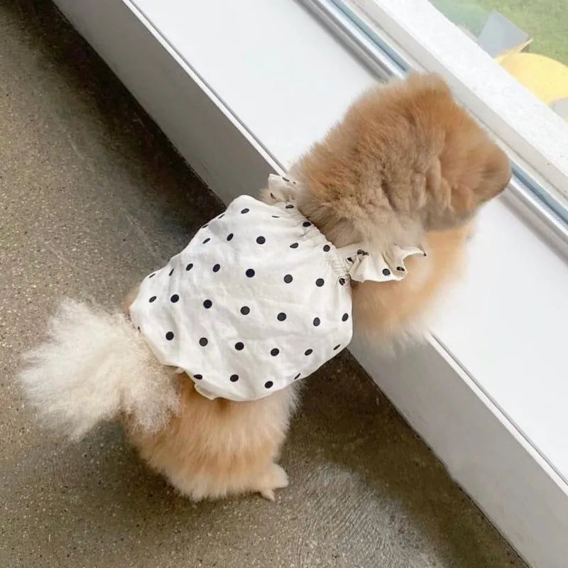 Polka Dot Summer Dog Dress with Suspender Straps