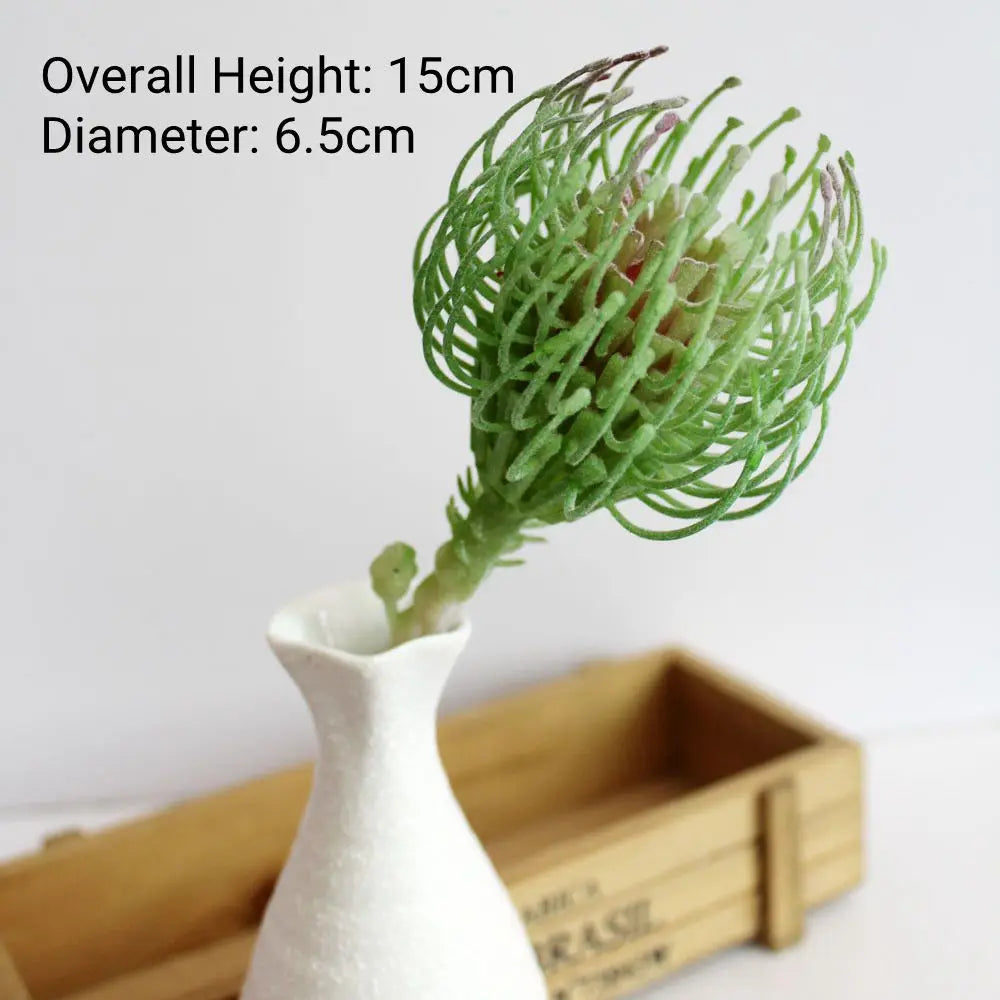 A small, vibrant green succulent plant in a white ceramic vase on a wooden tray.