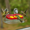 Refillable Hummingbird Feeder with Window Suction Cups