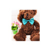 Pet Bow Tie Collar with Adjustable Strap