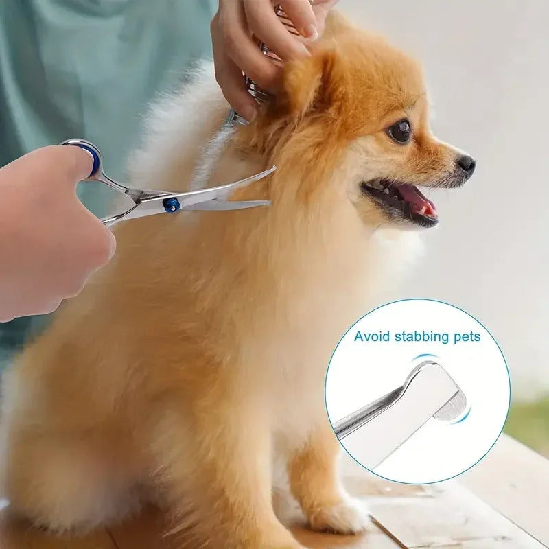 Safe Round-Tip Dog Grooming Scissors – Stainless Steel, Ergonomic Design
