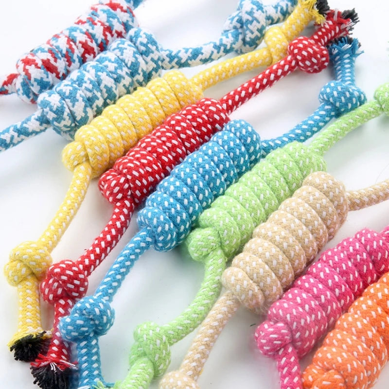 A collection of brightly colored braided cotton rope chew toys for dogs.