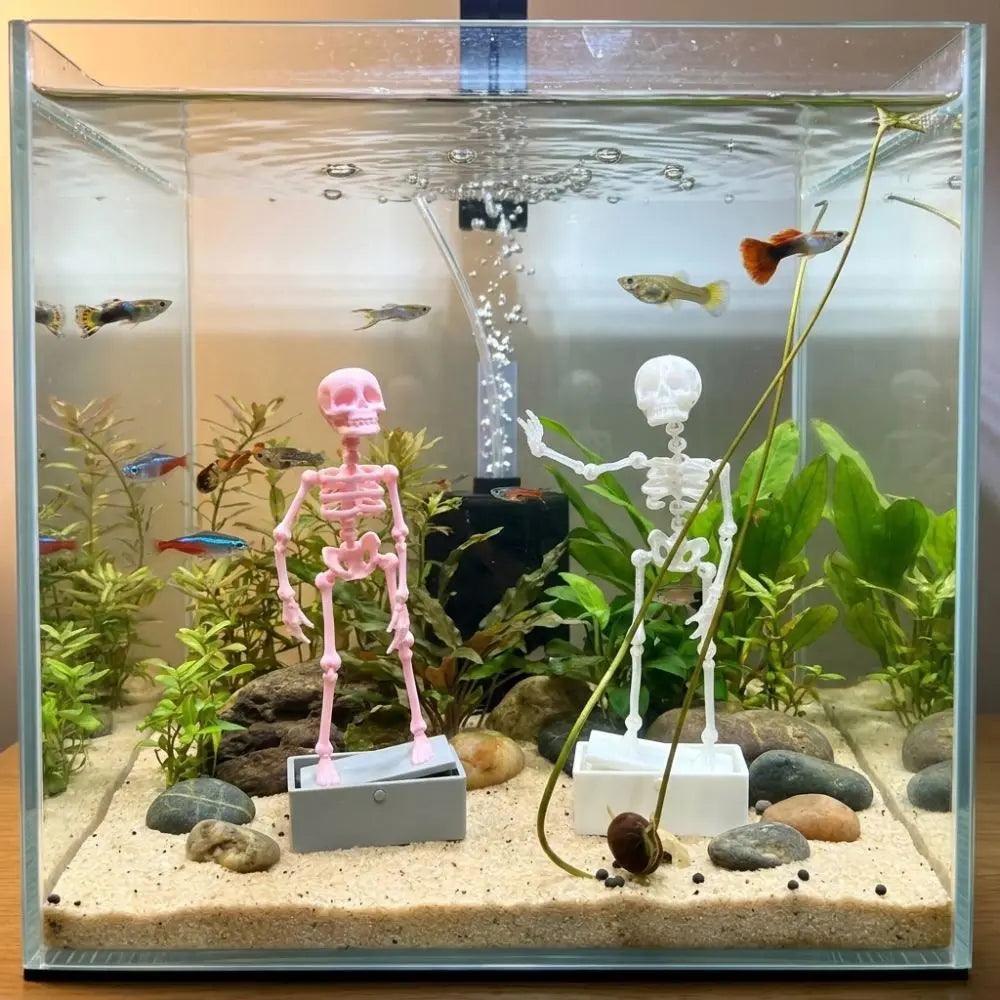 A clear glass aquarium featuring a dancing skeleton decoration submerged in water with aquatic plants.