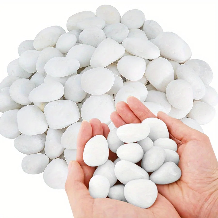 A hand holds a pile of natural white polished pebbles for plants, vases, and aquariums.