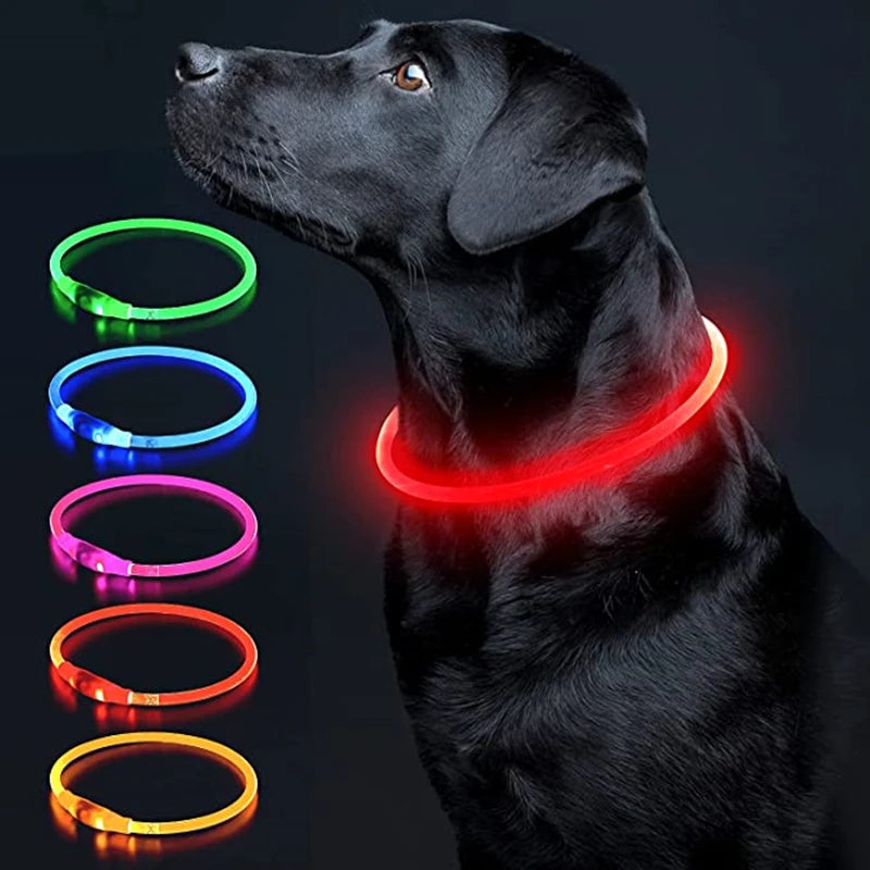 A black dog wearing a glowing LED collar with multiple color options, including green, blue, pink, red, and yellow.