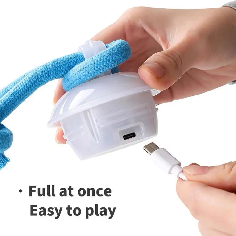 Interactive Rolling Dog Ball with Motion Sensor and Rope