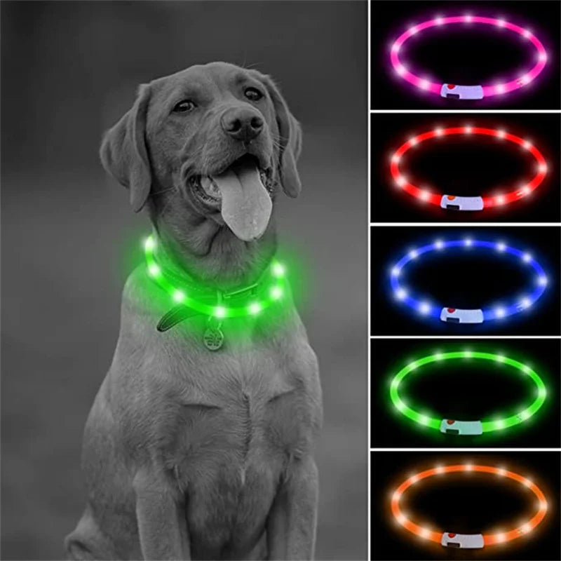 USB Rechargeable Luminous Collar for Dogs and Cats