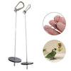Stainless Steel Parrot Fruit Skewer