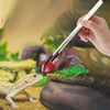 Stainless Steel Reptile Feeding Tongs with Protective Rubber Tips