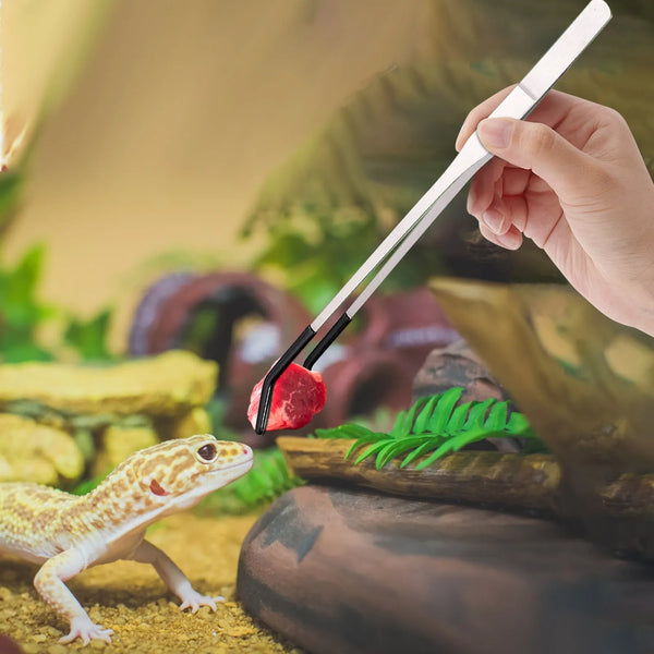 Stainless Steel Reptile Feeding Tongs with Protective Rubber Tips