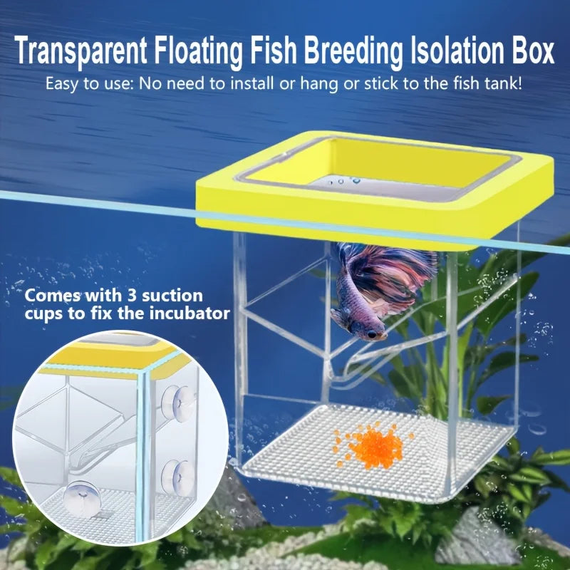 Floating Fish Breeding Box for Aquarium Hatchery & Isolation
